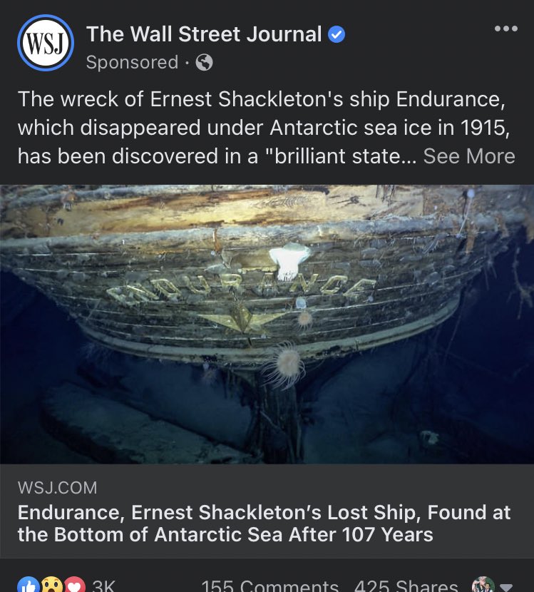 Eric Lippi tweet media