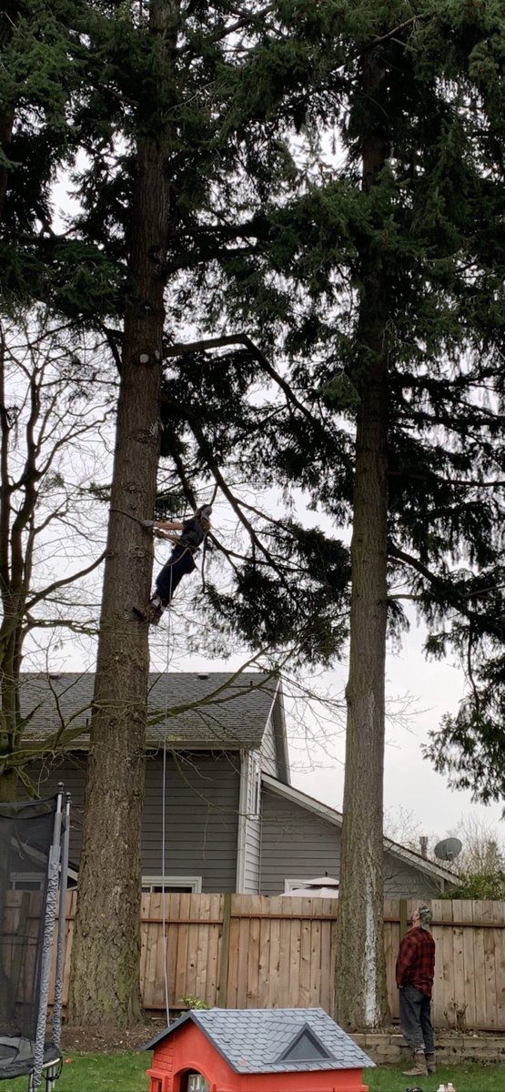 Here is our QB1 <a href="/BoCarlson5/">Bo Carlson</a> on his side hustle job. #SpartanWarriors