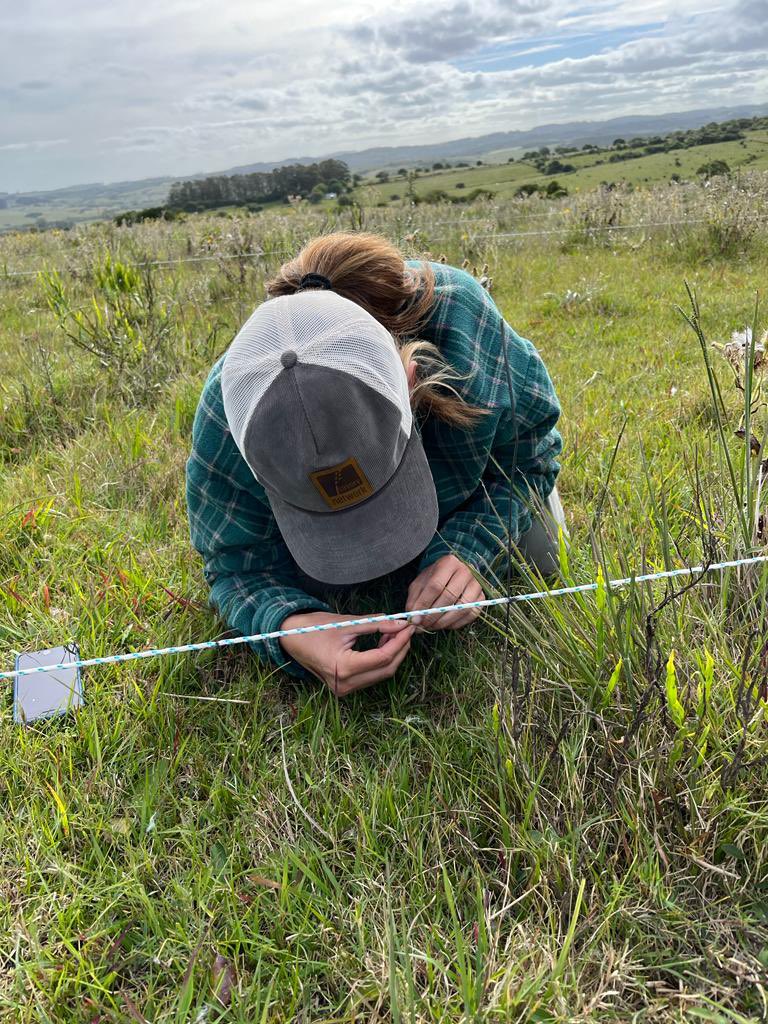 Felipe Urioste tweet media