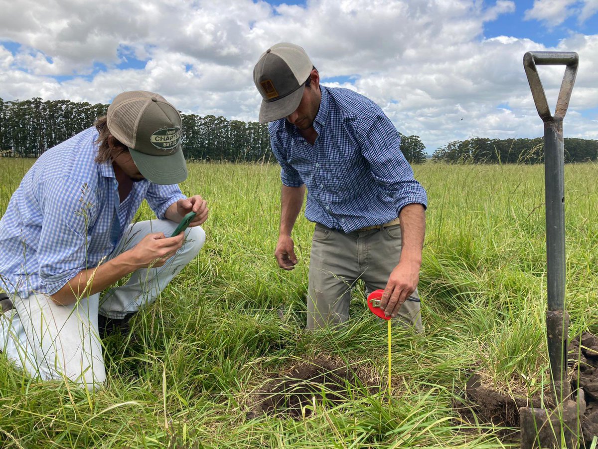 Felipe Urioste tweet media