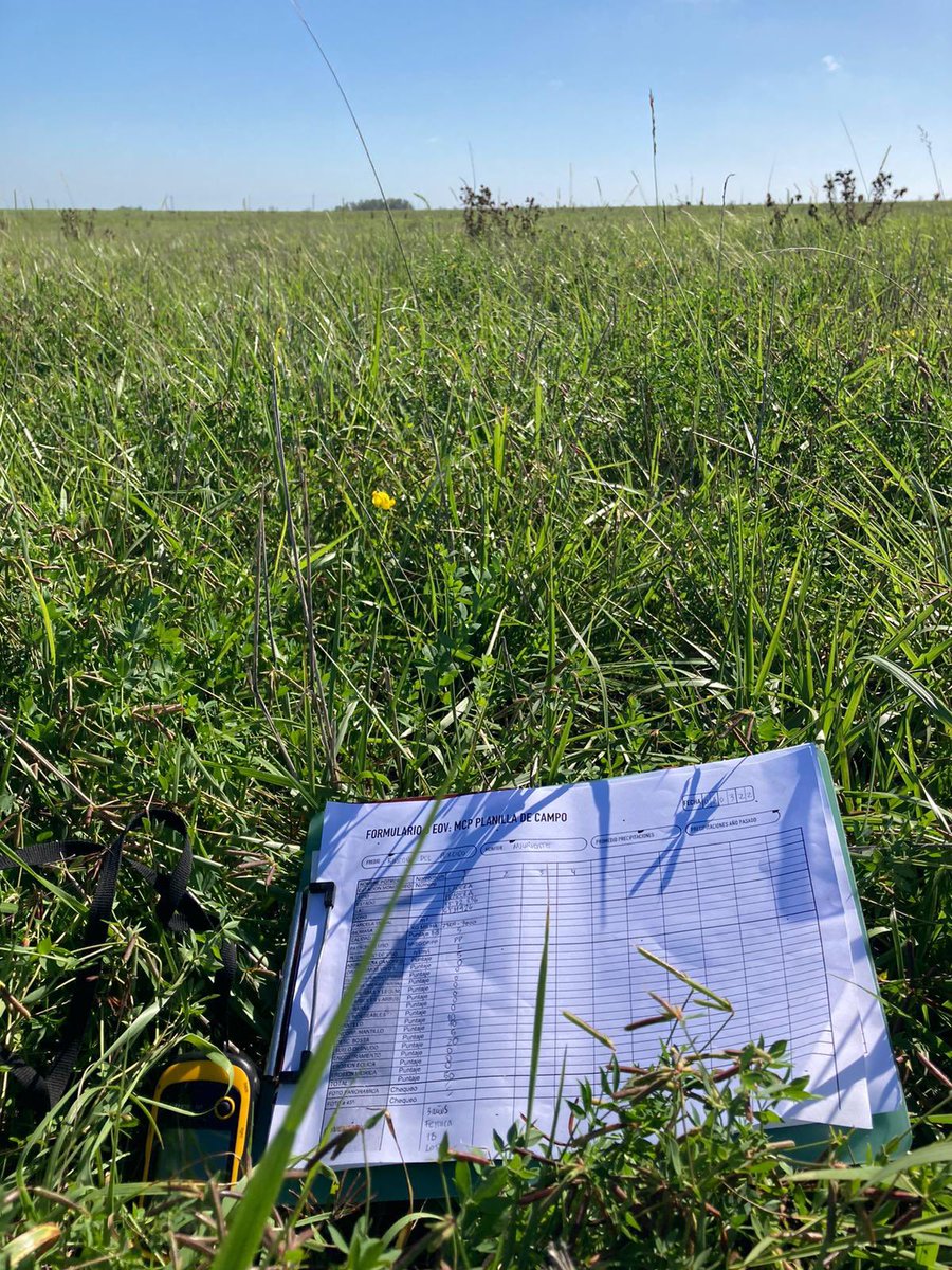 Felipe Urioste tweet media