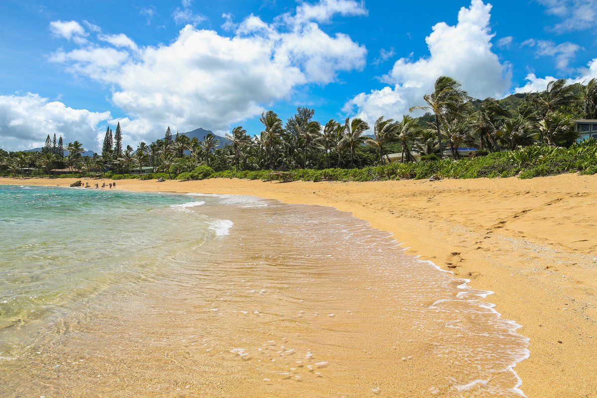 Plan an unforgettable Spring Break in #Hawaii and spend your days at Tunnels Beach on Kauai. Experience why this beach is an ultimate destination for snorkeling and scuba diving.

evrhi.com
