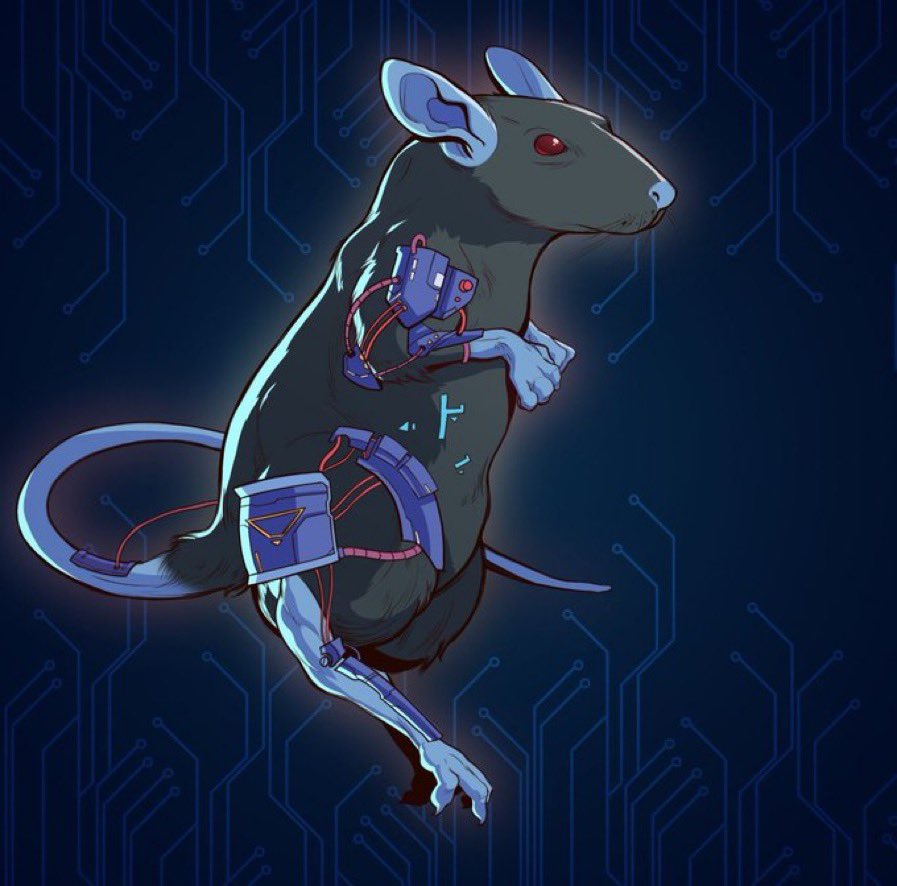 MasterMoMemes's tweet photo. Today at 4 p.m. EST, @GenesisRats launches on @StargazeZone
 
I'm giving away 1 FREE mint to celebrate! 🥳

To enter:
- Like + RT
- Follow @GenesisRats, @cryptolikemo 
- Tag 2 friends

Supply: 1111 rats 🐀
Price: 650 $STARS

Winner chosen in 24 hours!

#NFT #NFTGiveaway #Giveaway https://t.co/XddGjabDv9