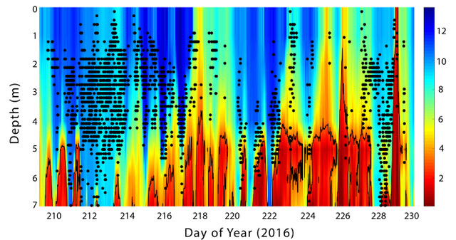 Jill Brooks, PhD. tweet media