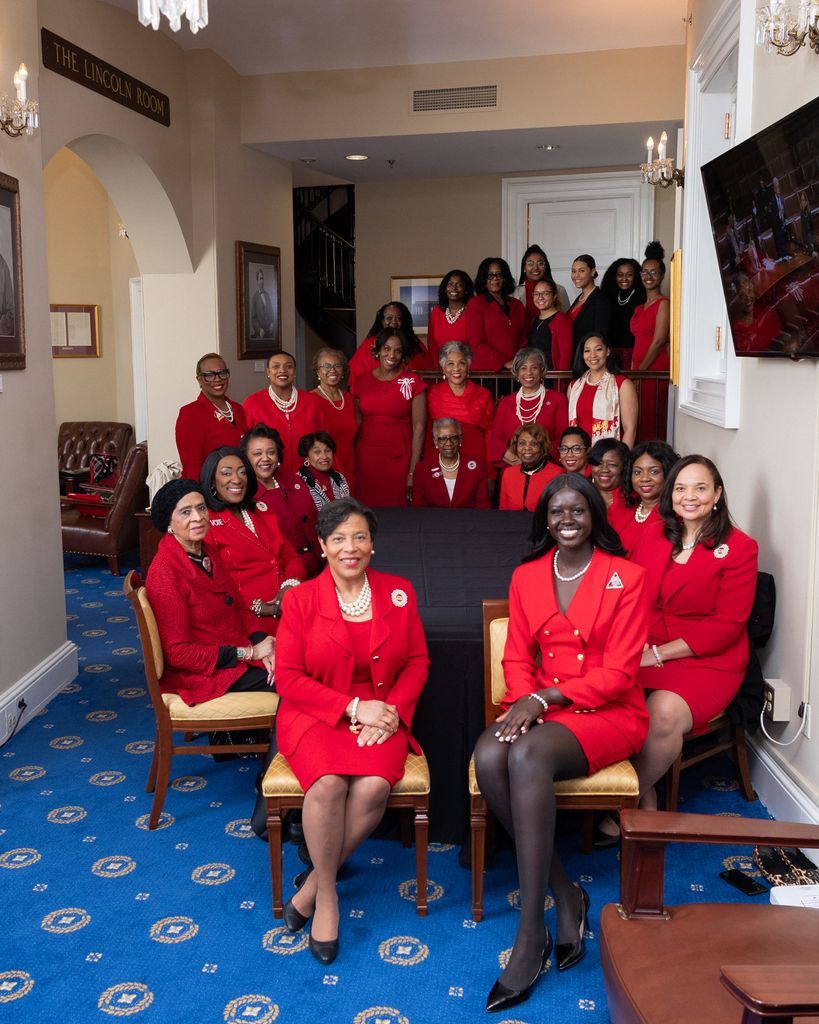dstinc1913's tweet photo. Earlier this week Delta Sigma Theta Sorority, Incorporated celebrated #InternationalWomensDay with a visit to Capitol Hill to conclude #DDNC2022! 
#DST1913 https://t.co/YTFEA9phm0