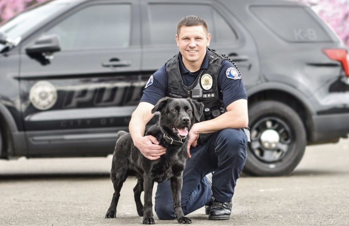 McMinnville Police tweet media