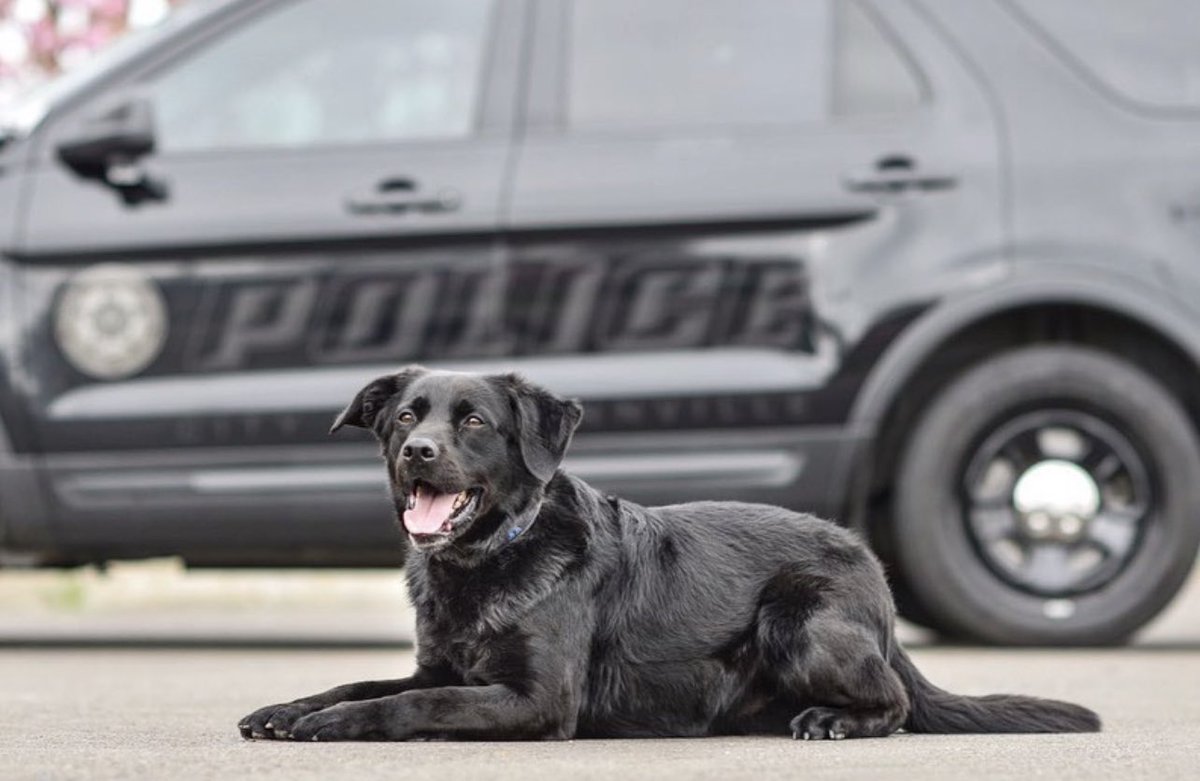 McMinnville Police tweet media