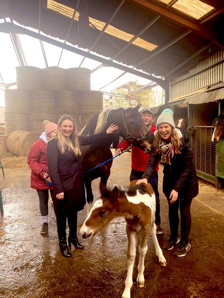 Emer Currie inactive account tweet media