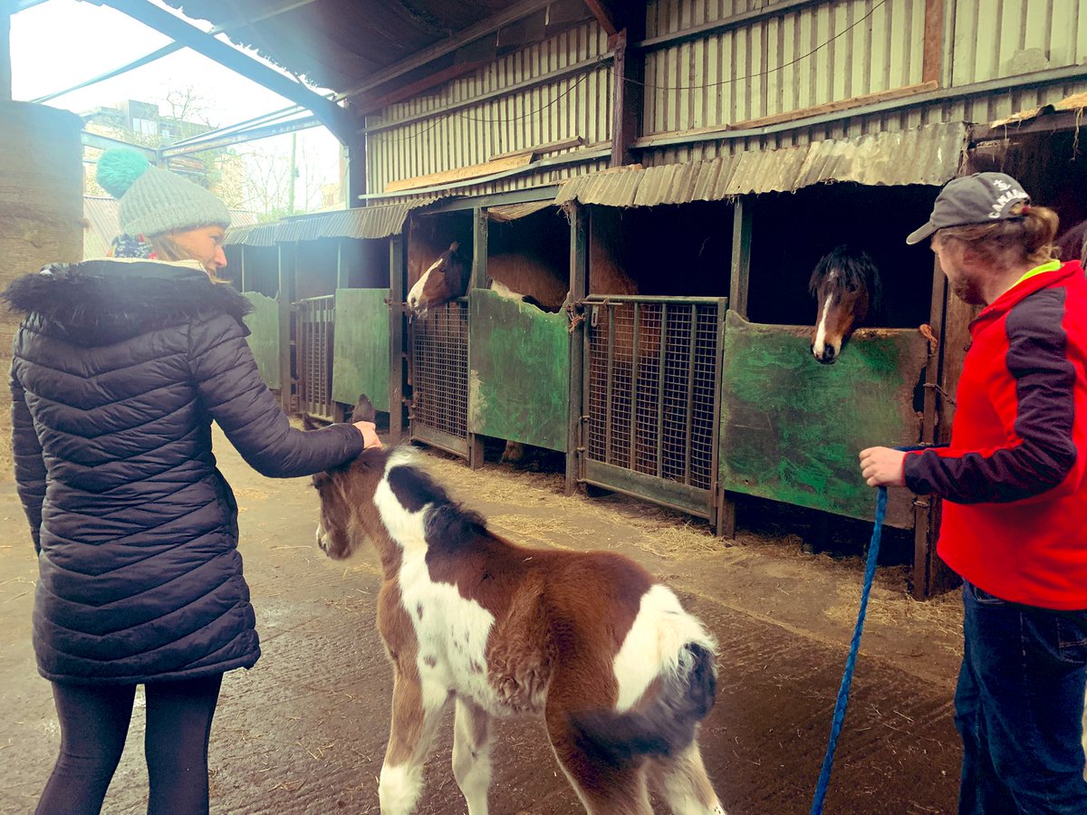 Emer Currie inactive account tweet media