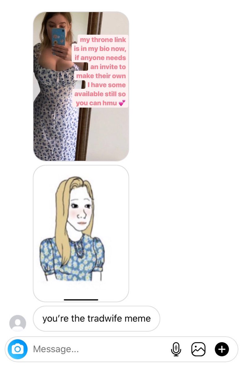 every time I wear a blue floral pattern dress multiple people tell me I  look like the trad wife meme... this is what cyberbullying looks like