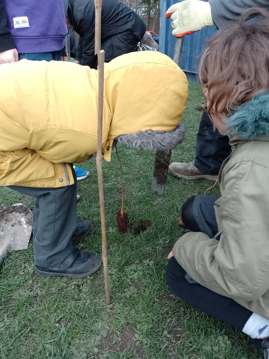 BrunstaneP's tweet photo. Thanks to the amazing folk who gave their time to plant @WoodlandTrust trees @BrunstanePS. Looking forward to some brilliant colour and exciting areas for the kids to explore in years to come #bigclimatefightback #naturalspaces https://t.co/D3HYoN7PK6