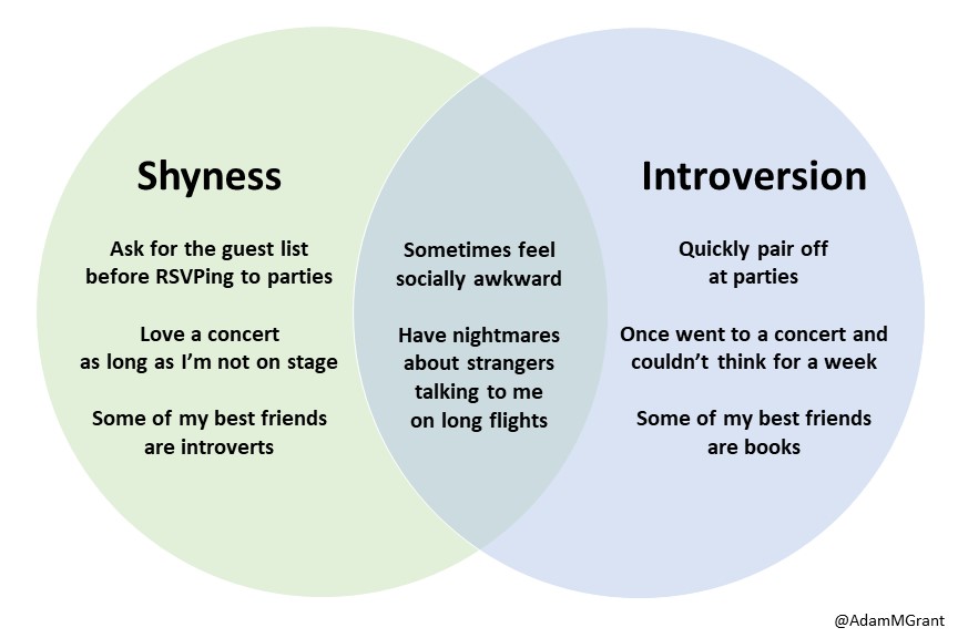 Are introverts shy or quiet?