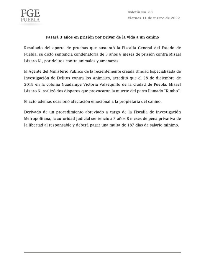 JCarlos_Valerio's tweet image. 🚨 Condenan a 3 años 8 meses de prisión a Misael Lázaro N. por provocar la #muerte del #perrito “Kimbo”, en la Ciudad de #Puebla. 🚨