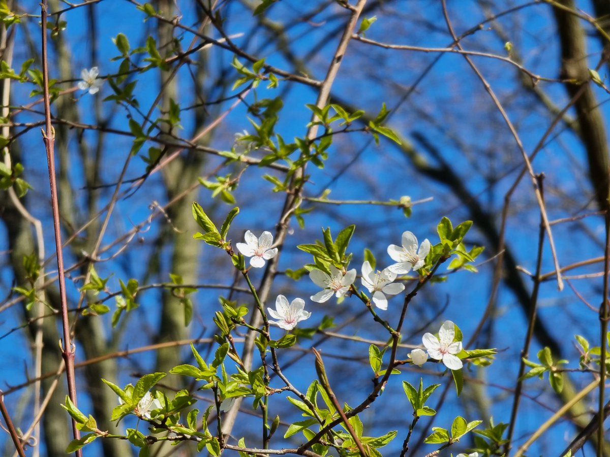 Petra Wenzl tweet media