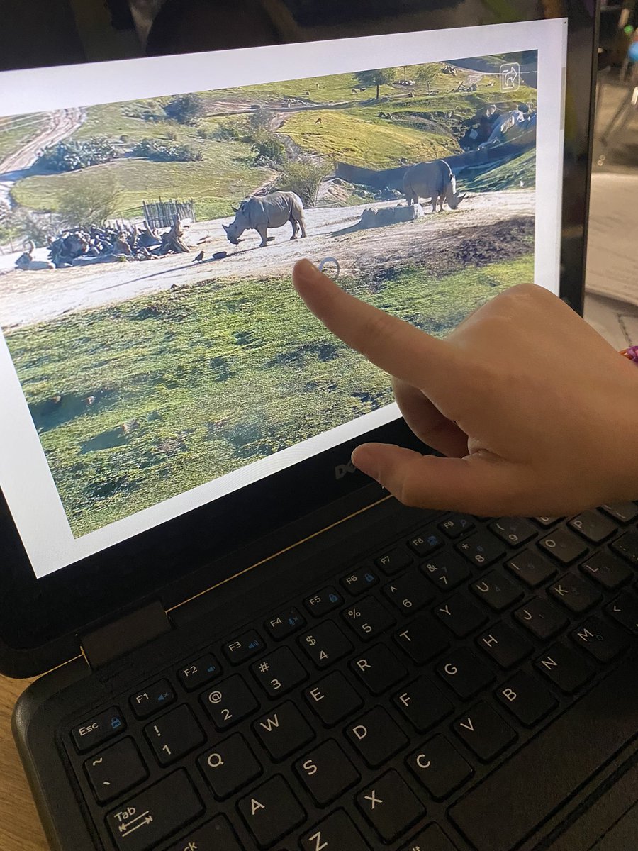 Ms. Caruso tweet media