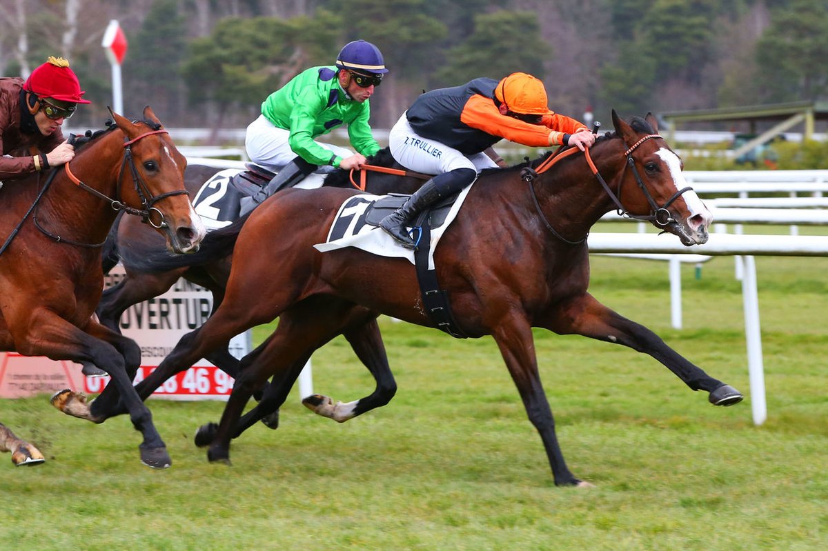 Jour de Galop (@jour_de_galop) on Twitter photo Le 3ans BOUM BOUM BOUM (The Grey Gatsby <a href="/PetitTellier/">PETIT TELLIER</a>) confirme l'estime de son entourage qui voit en lui un cheval de Groupe. Entraîné par Carlos & Yann Lerner, il appartient à Anja Wilde et était monté par <a href="/trullierthomas/">trullierthomas</a> 📷 <a href="/ScoopDyga/">ScoopDyga</a> Le 3ans BOUM BOUM BOUM (The Grey Gatsby <a href="/PetitTellier/">PETIT TELLIER</a>) confirme l'estime de son entourage qui voit en lui un cheval de Groupe. Entraîné par Carlos & Yann Lerner, il appartient à Anja Wilde et était monté par <a href="/trullierthomas/">trullierthomas</a> 📷 <a href="/ScoopDyga/">ScoopDyga</a>