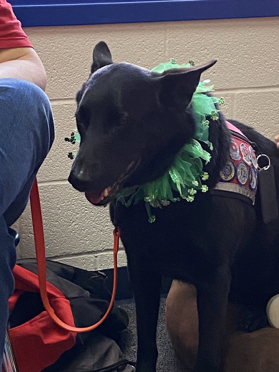 KarenHessLCSWC's tweet photo. Go Team Therapy Dogs visit students at BCMS. #BCMS♥️GoTeamTherapyDogs https://t.co/xKUopOGq4r