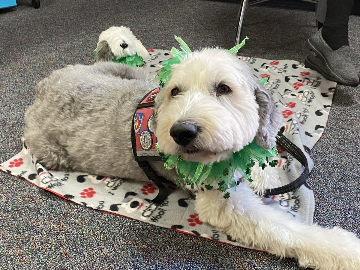 KarenHessLCSWC's tweet photo. Go Team Therapy Dogs visit students at BCMS. #BCMS♥️GoTeamTherapyDogs https://t.co/xKUopOGq4r