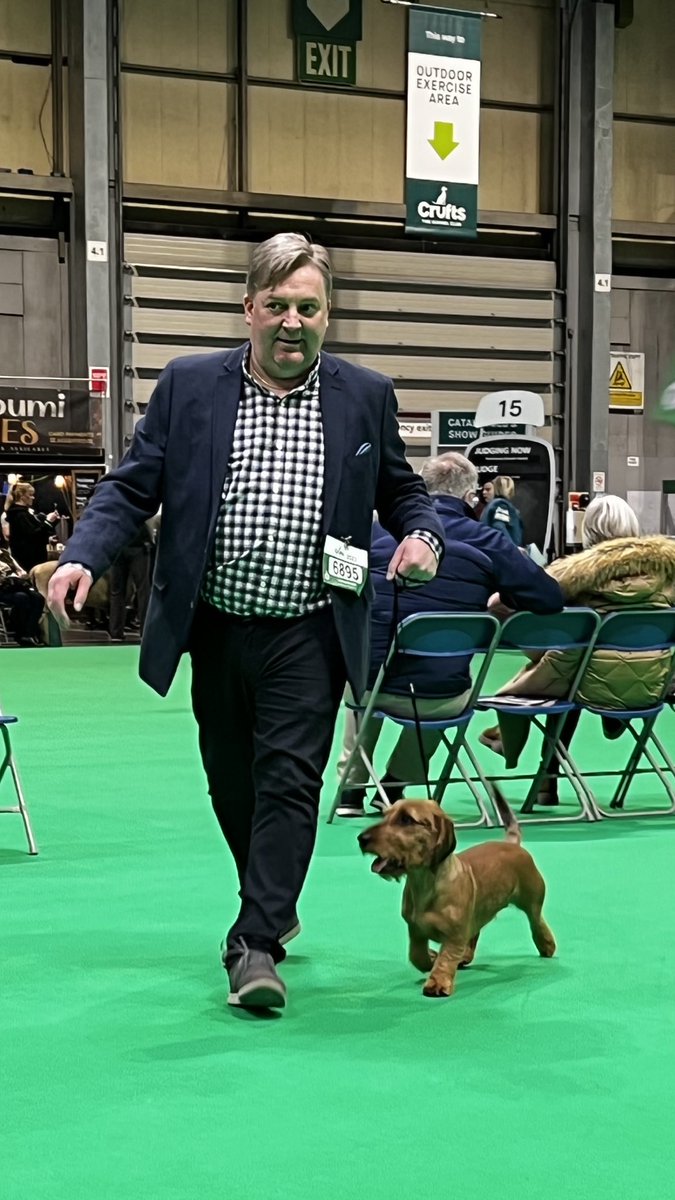 kevmaher1's tweet photo. Very pleased with Sonny’s @Crufts debut. Reserve certificate 🐶💙 #wirehaireddachshund https://t.co/MCIpIh0kYh