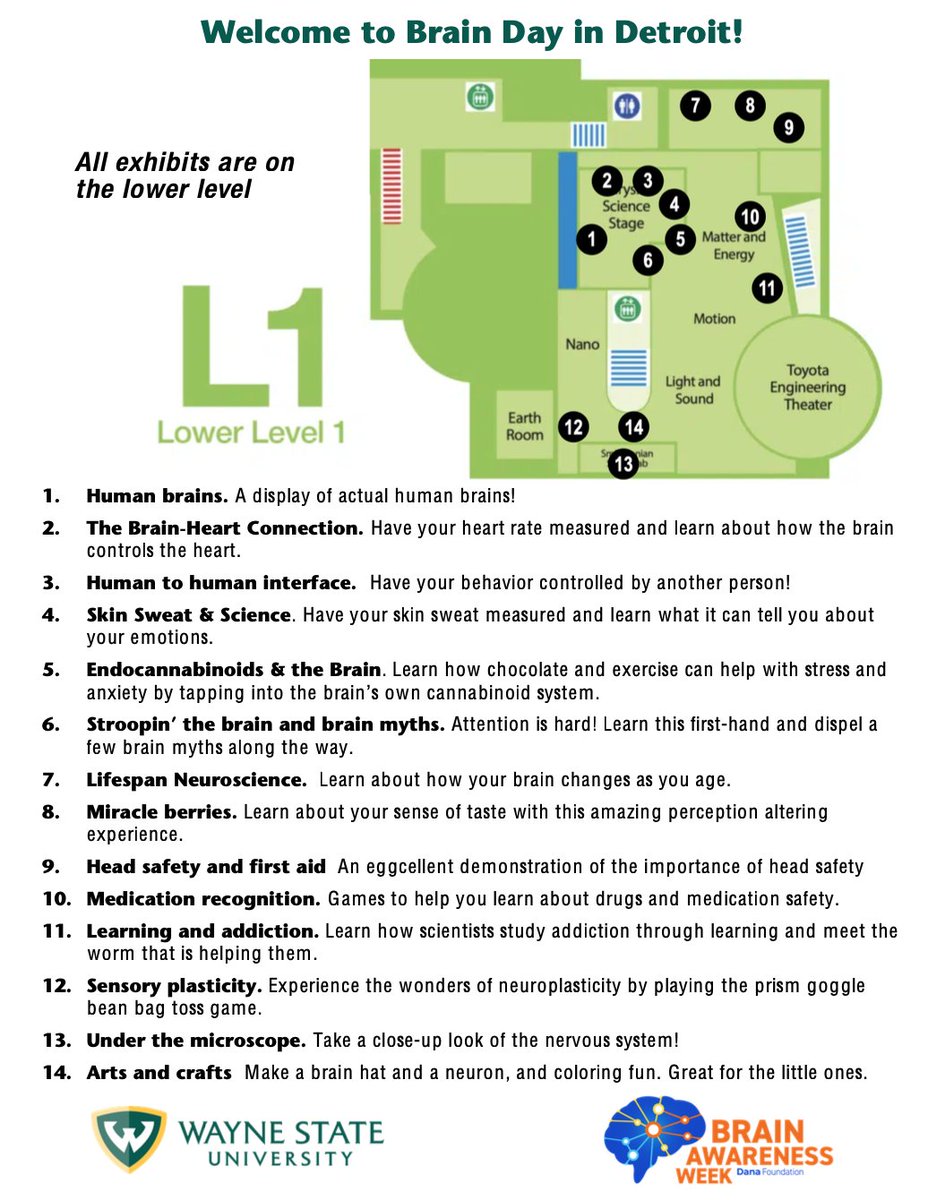 Wayne State Neuroscience tweet media