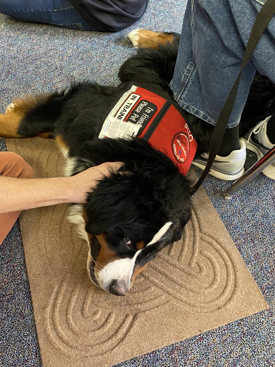 KarenHessLCSWC's tweet photo. Go Team Therapy Dogs visit students at BCMS. #BCMS♥️GoTeamTherapyDogs https://t.co/76DPNIUcwM
