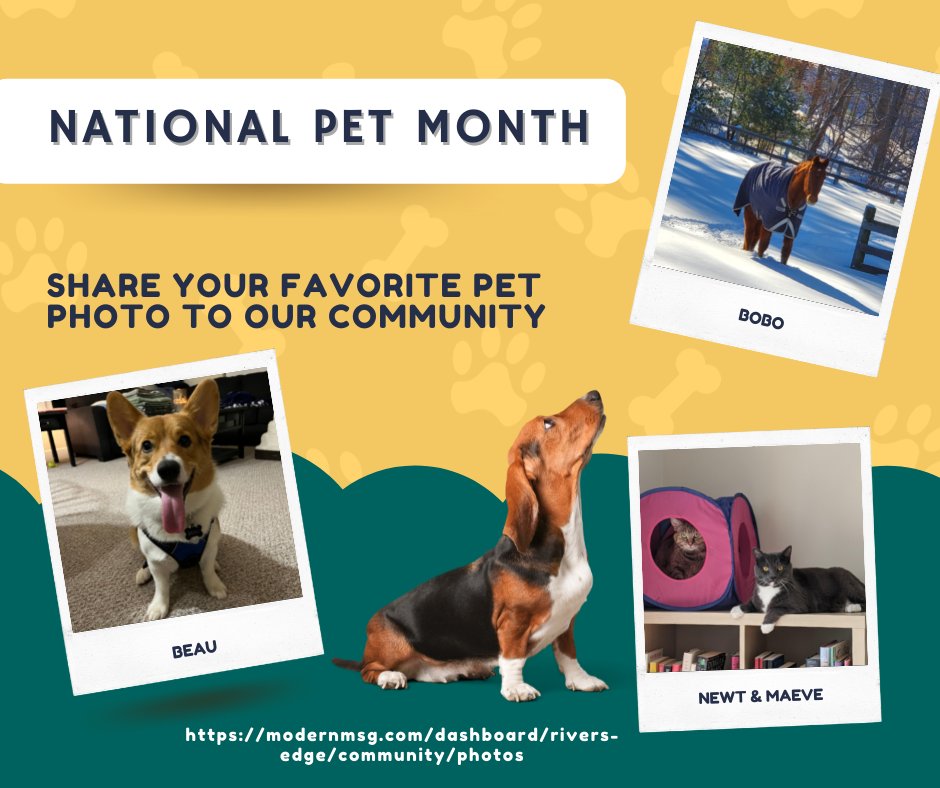 March is National Pet Month at Rivers Edge. Don't forget to share on Modern Message some of your favorite pet pictures. Here are a few submissions that have been entered so far and don't forget to vote for your favorite. Keep them coming we love all our pets.
#riversedge...