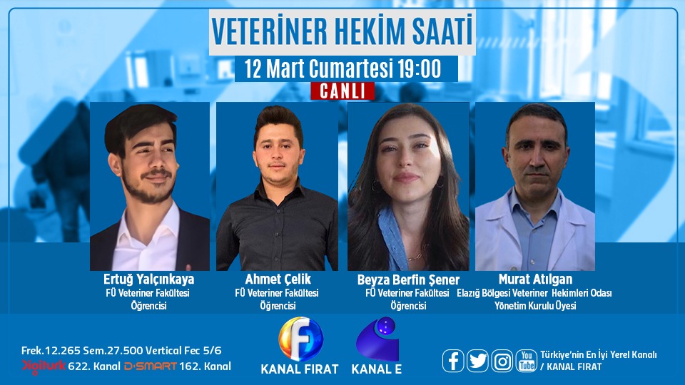 Yarın akşam 19.00'da Kanal Fırat'ta buluşalım. 🙏🏻 😇 Konumuz Veteriner Fakültesi Hayatı ve Fırat Üniversitesi Veteriner Fakültesi Ayrıcalıkları...
<a href="/Ahmet42Celik/">Ahmet Çelik</a> <a href="/berfiinsener/">Berf</a> <a href="/KANALFIRAT/">Kanal Fırat</a>