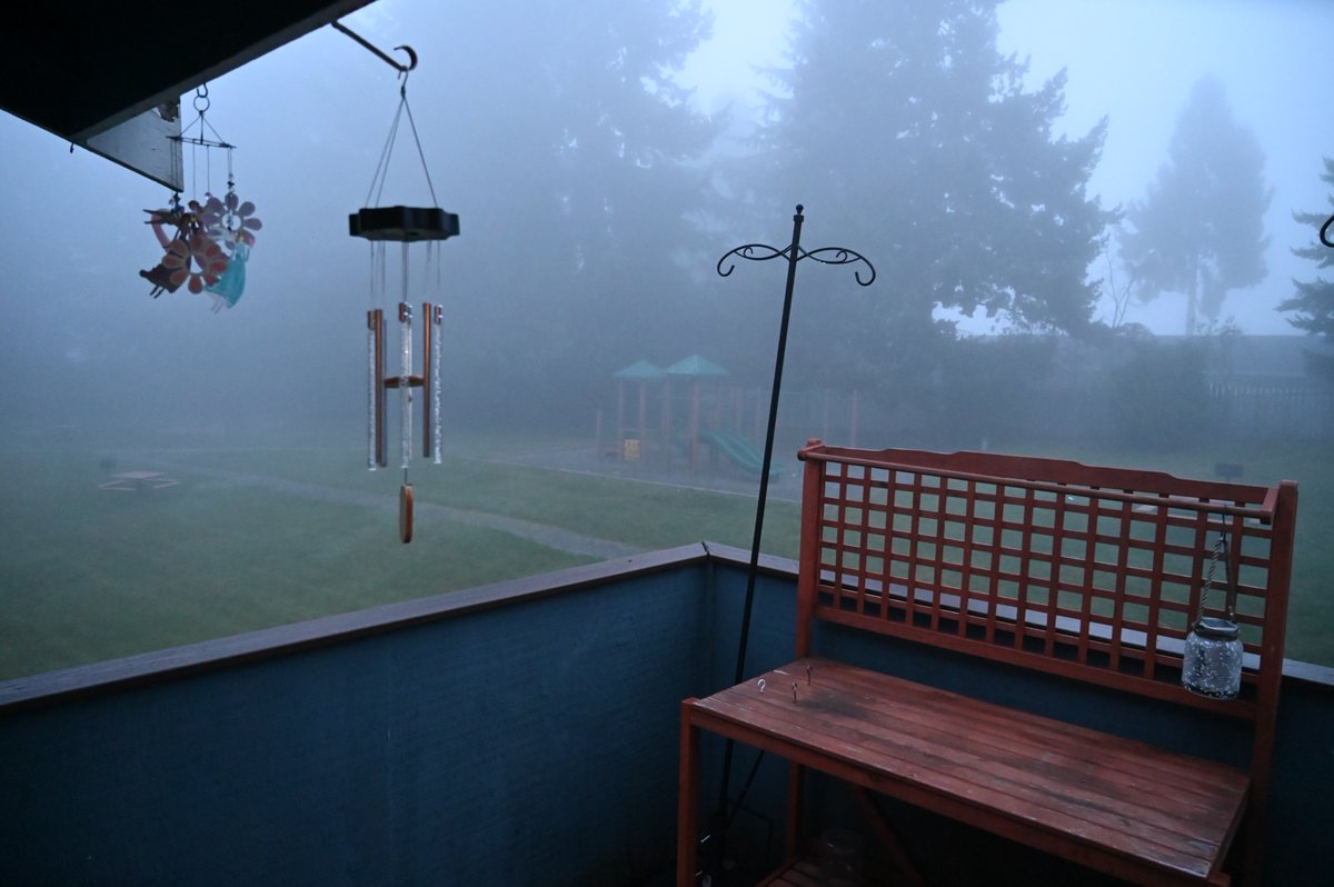 agirlushouldknw's tweet photo. 3/07/2022.
(66) of 365 Project. For something different, just a picture of the wonderful fog in the morning. #disasterunicorn #porchview https://t.co/DNaie4LHDn