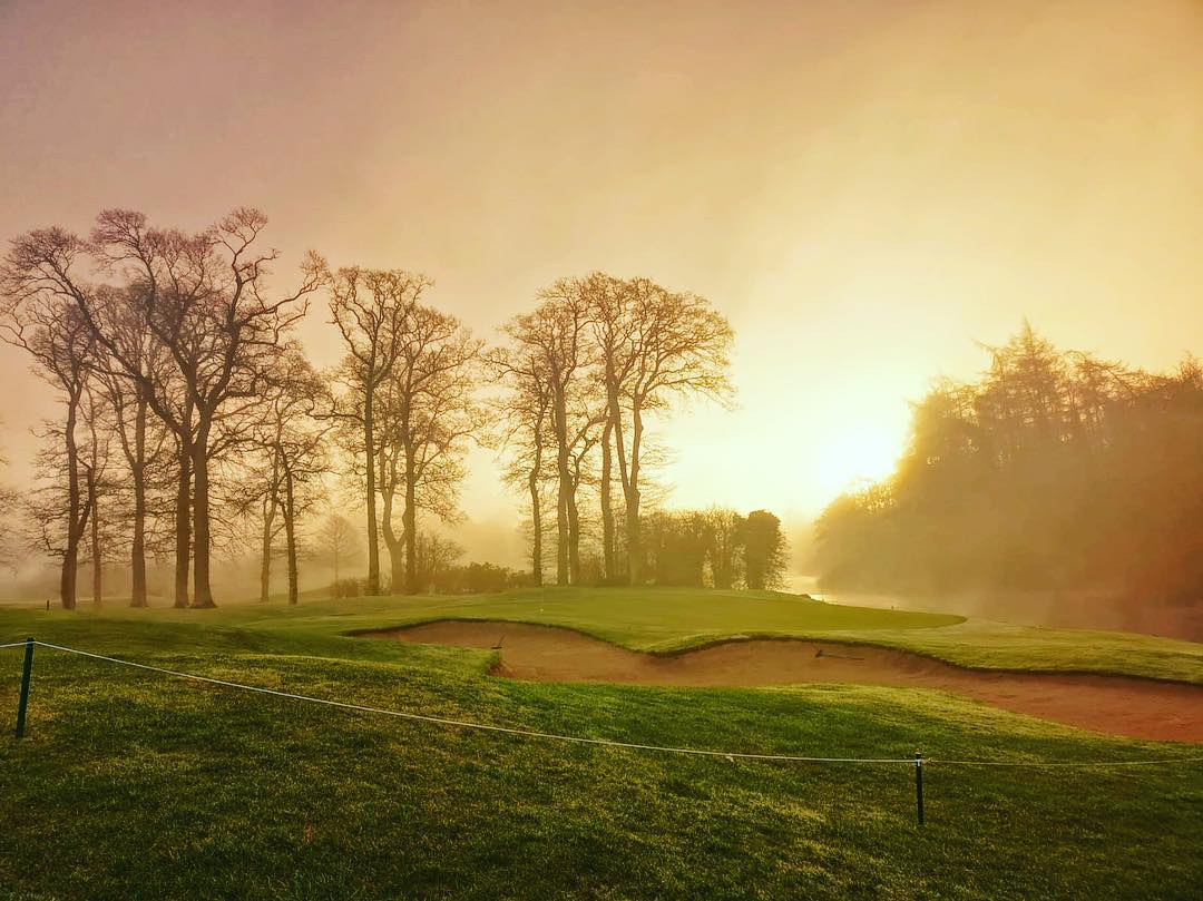 Kildare has earned the title of ‘Ireland’s golfing capital’, as it's home to @thekclub, @CartonHouseGolf, @kilkeacastle, @MoyvalleyR & more! ⛳ Read all about them in our guide to golfing in Kildare 👉🏼 intokildare.ie/trip-ideas/gol… #IntoKildare #StaycationKildare #IrelandsAncientEast