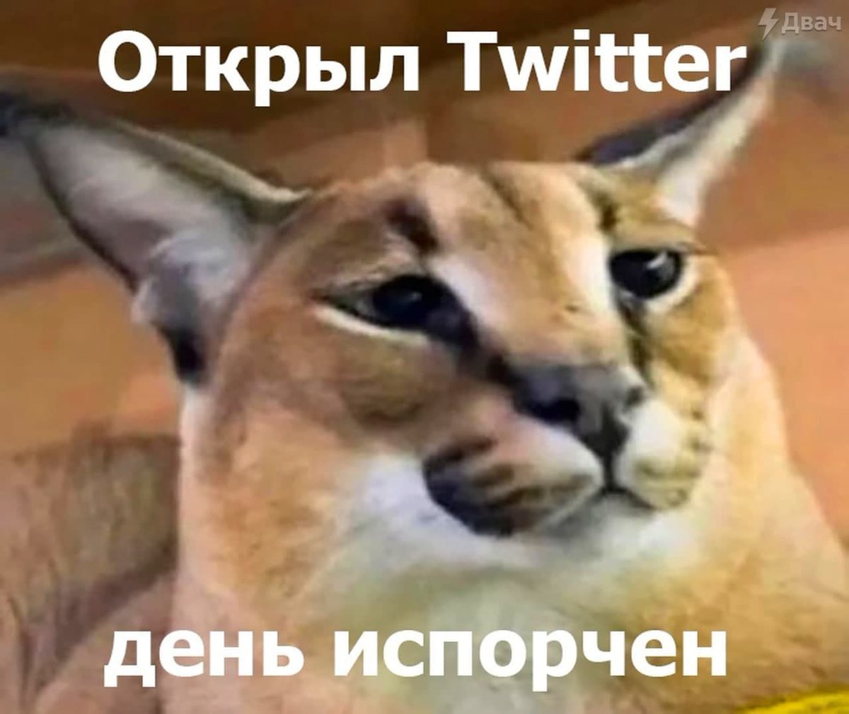 ultrayoba's tweet photo. https://t.co/f0IEY7ma2x