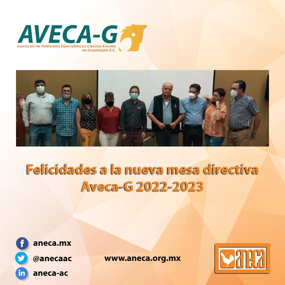 anecaac's tweet photo. ANECA felicita a la nueva mesa directiva de AVECA-G 2022-2023. ¡Muchos éxito en su labor!
#AvecaG https://t.co/gLb2pXYocP