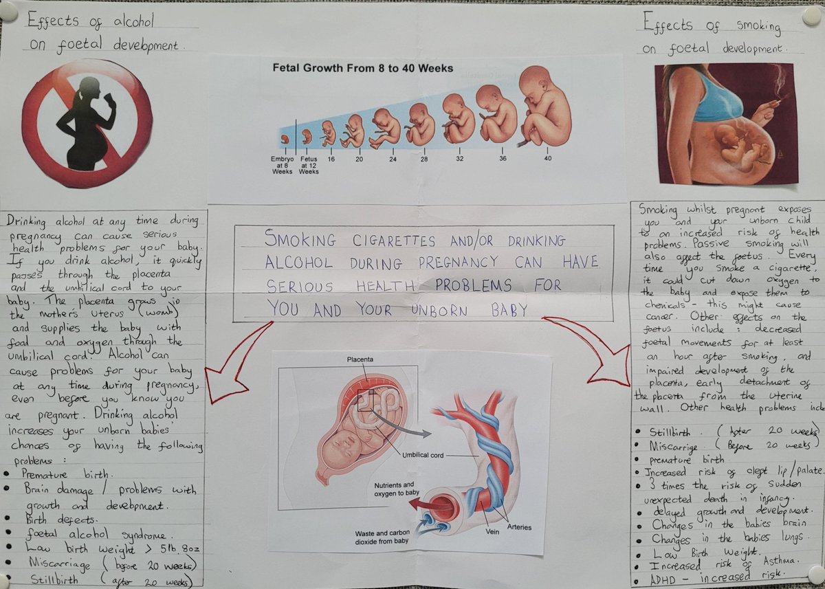 HA_BiologyDept's tweet photo. Great work by our pupils this week with Yr 7s studying the effect of drugs & alcohol on the developing foetus, Yr 10s looking at the lytic and lysogenic cycles & our A-level biologists completing a practical on the effectiveness of different antibiotics. #LovingScience #Biology https://t.co/S8Gg13rCkP