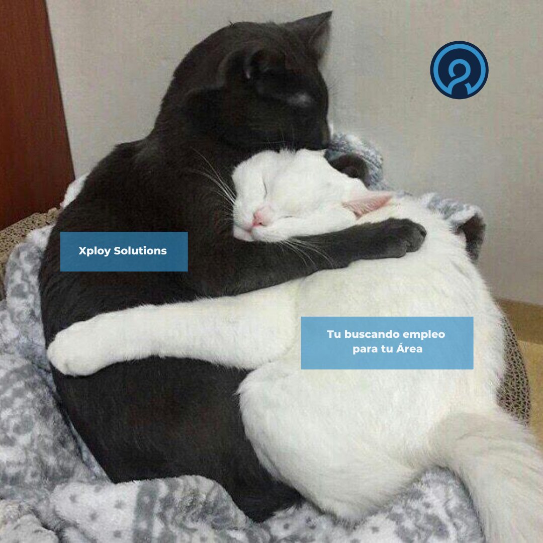 XploySolutions's tweet image. Aqui en #xploysolutions tenemos muchas #vacantes para ti!
Join us through this link: app.fingercheck.com/FingerCheck/Jo…
.
.
#DreamTeam #outsourcing #recruitment #Recruiting #Jobs #jobhunting #vacancies #vacancy #Memes #meme #memeoftheday #empleos #empleord