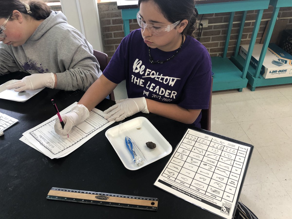 Kelsey Payne tweet media