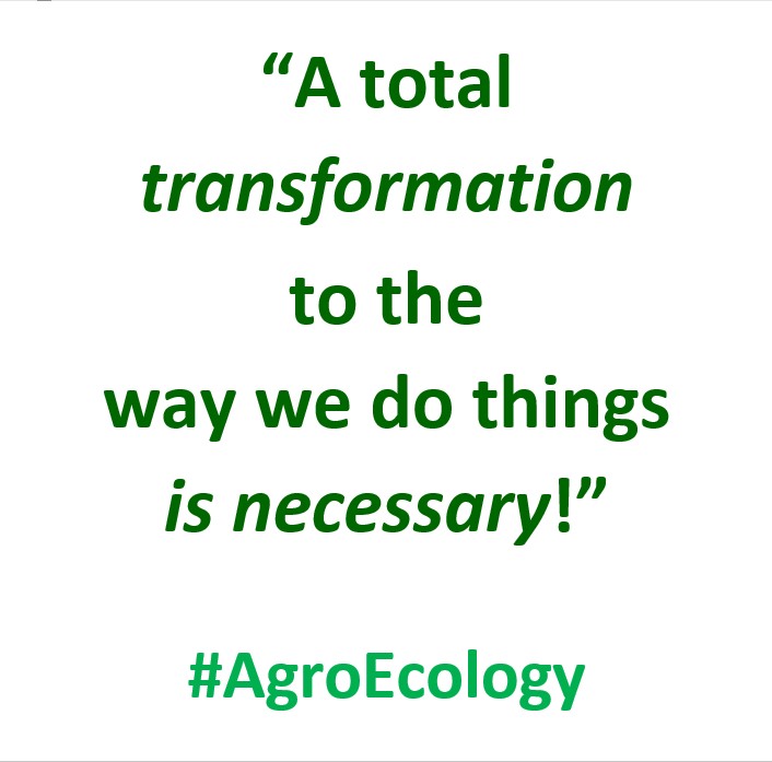 OctopusCN's tweet photo. We need to take action because of the #ClimateEmergency, for the domestic gardener a #ForestGarden is a great way to make change happen.
Find out how with Karina Ponton #Agroforestry in Garden Spaces 15.03.22 11am zoom
https://t.co/5typap0wh8
#ActionForLocalFood #AgroEcology https://t.co/PrQsAPvkpe