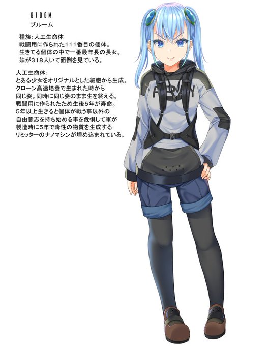 シナリオ紹介用の下準備。進捗用のブログ持つかCIEN使うかも 