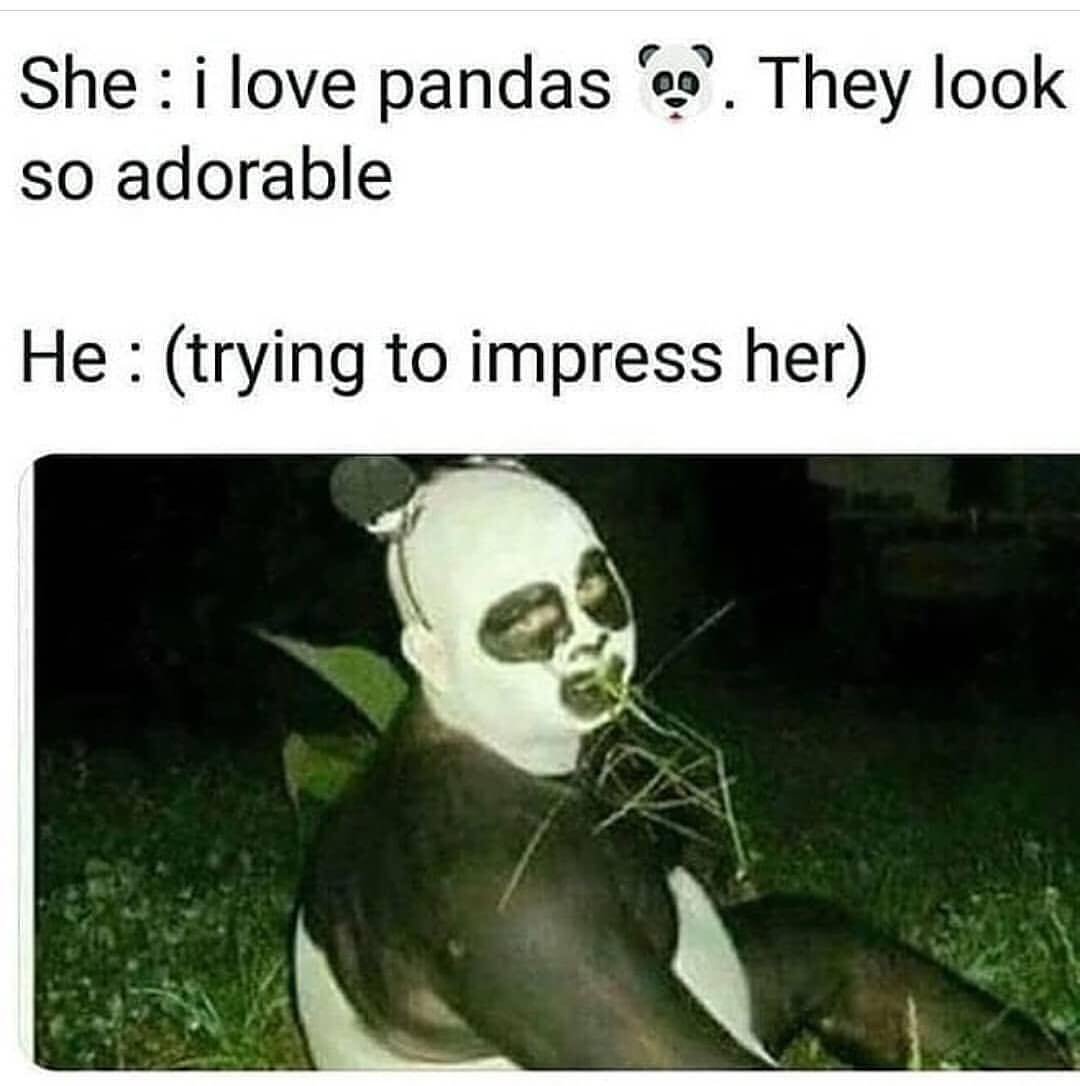 RowdyPanda_Club's tweet photo. Ha ha ha😂 https://t.co/PcDDXmlNf2