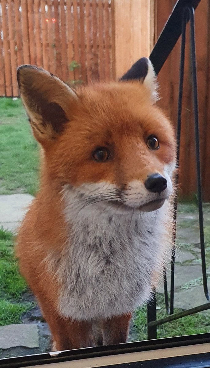 Siobhean 🖤 tweet media