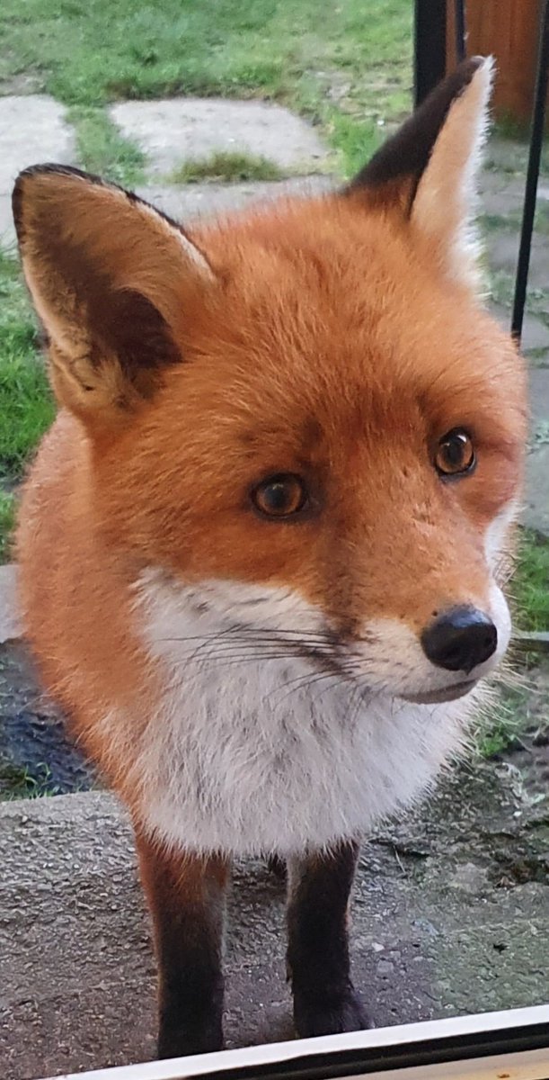 Siobhean 🖤 tweet media