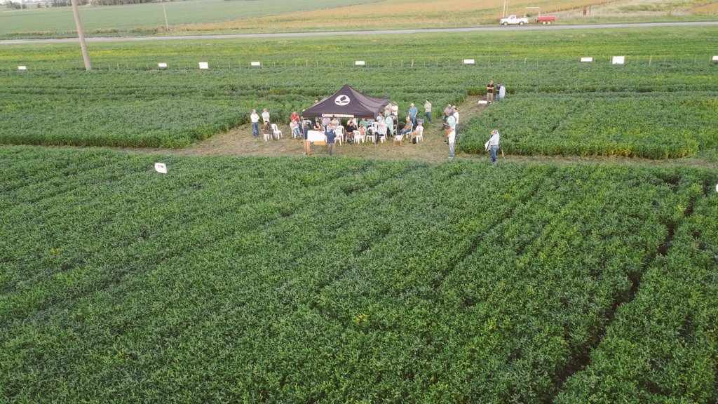 PabloRRicart's tweet photo. Jornada de 🌱 Enlist E3 con @LurraAgro @patonlopetegui 
📌 Chacabuco 
✅ ℹ sobre todas las variedades  de 🌱 de @stinesemillas 
✅ Manejo del Sistema de control  de malezas Enlist E3
#StineTieneRinde https://t.co/uJx6JktYIE