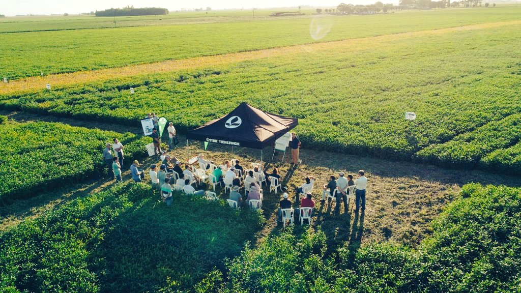 PabloRRicart's tweet photo. Jornada de 🌱 Enlist E3 con @LurraAgro @patonlopetegui 
📌 Chacabuco 
✅ ℹ sobre todas las variedades  de 🌱 de @stinesemillas 
✅ Manejo del Sistema de control  de malezas Enlist E3
#StineTieneRinde https://t.co/uJx6JktYIE