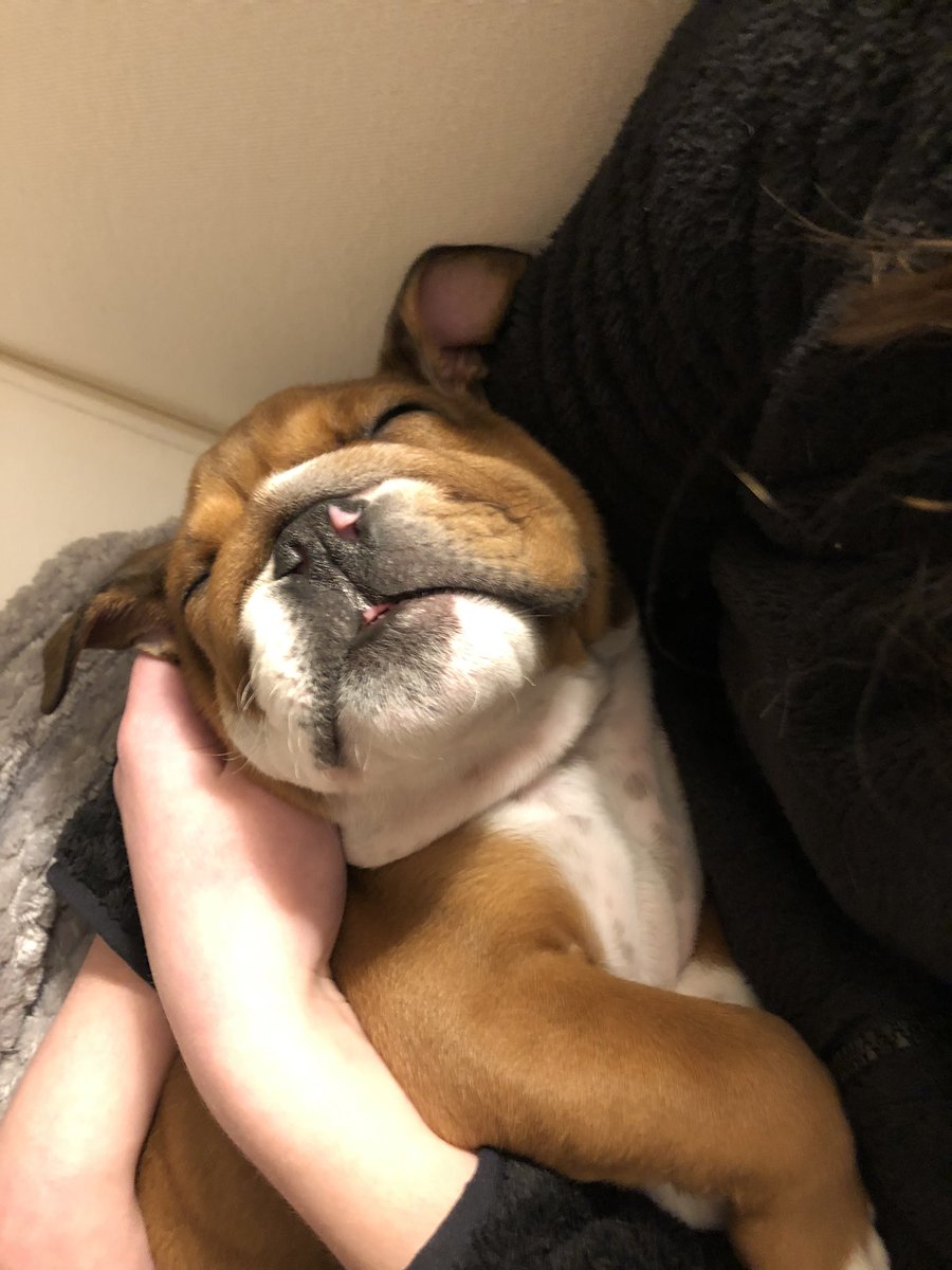 Craig Alexander (@craigwalex) on Twitter photo 