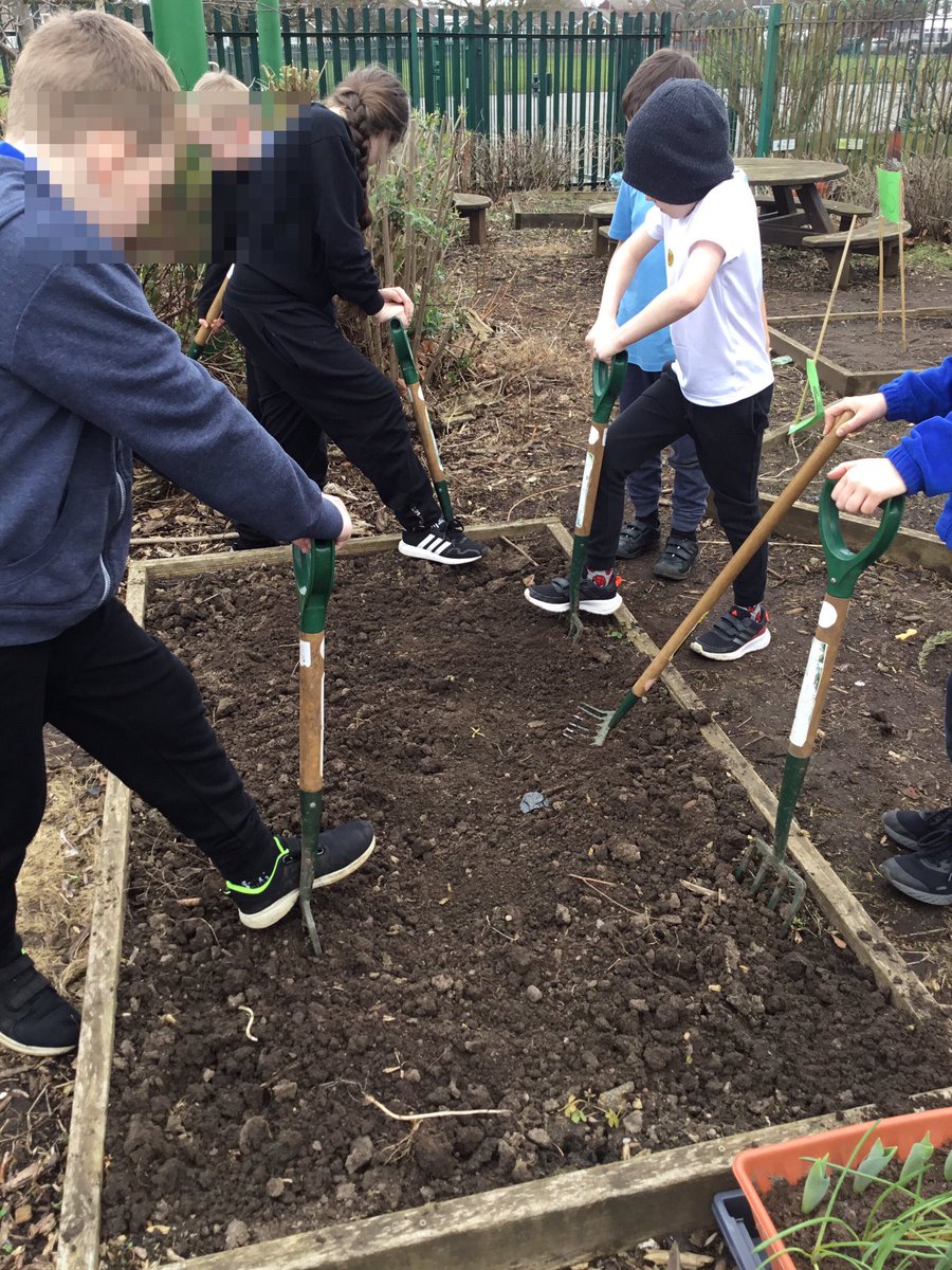 LeysFarm's tweet photo. Class 4W getting to work on one of the garden beds. Potting a variety of seedlings ready for summer harvest. #LFJSScience #LFJSBiology #LFJSSchoolgarden #LFJSOutdoorlearning https://t.co/pkr2rSOeis