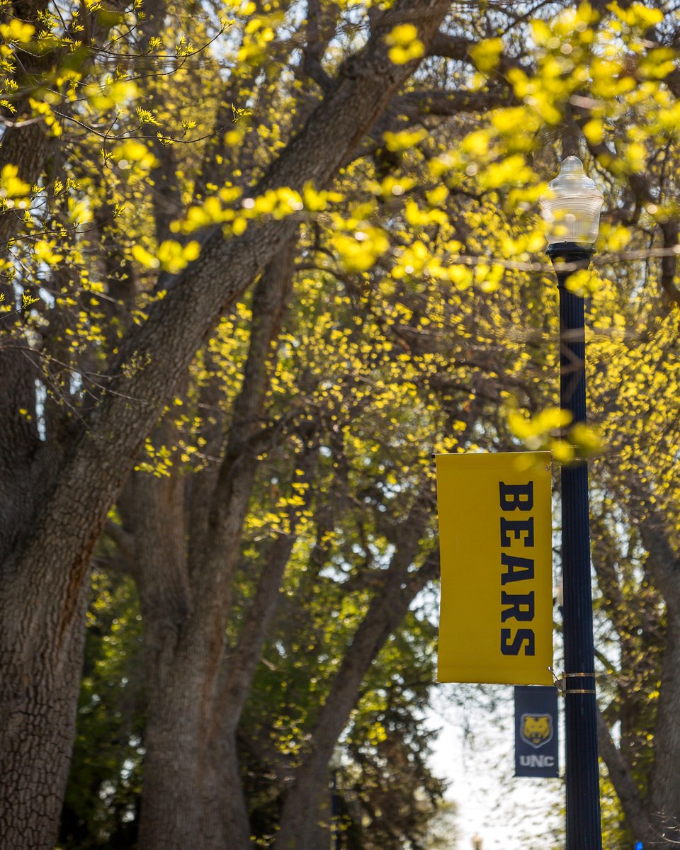 UNC_Colorado's tweet image. Spring Break starts tomorrow through March 20! Have a safe, relaxing and fun-filled break. Comment your plans below 🐻💙💛

[Image Description: a Springtime campus photo with yellow leaves on the trees and lamp posts on campus. The posts have UNC flags attached to them.]