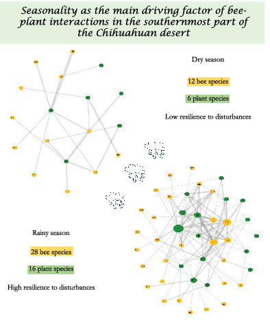 InsectDiversity's tweet photo. The role of seasonality and disturbance in bee–plant interactions in semi-arid communities of the southern Chihuahuan desert
https://t.co/JB3s1W8aBo
#entomology #science #publication #ecology #humanactivities #Mexico #network #nestedness #pollinators #Querétaro #resilience https://t.co/Xy96gbpTFD