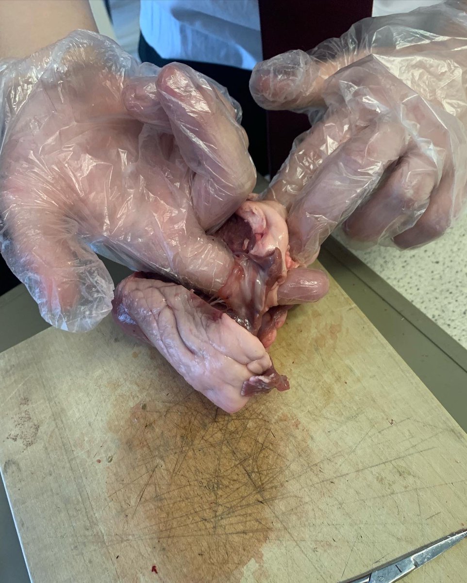 OSA_PE's tweet photo. It was a thoroughly enjoyable session with special thanks going to the science department and more closely Mr McKenna and Miss Toorab for assisting in the delivery of the session with @MrDaveyPE 

@onslowstaudreys 

#TeamOSA #TeamPE #TeamScience #OSAPE #GCSEPE 

(2/2) https://t.co/Iu15dPn7PV