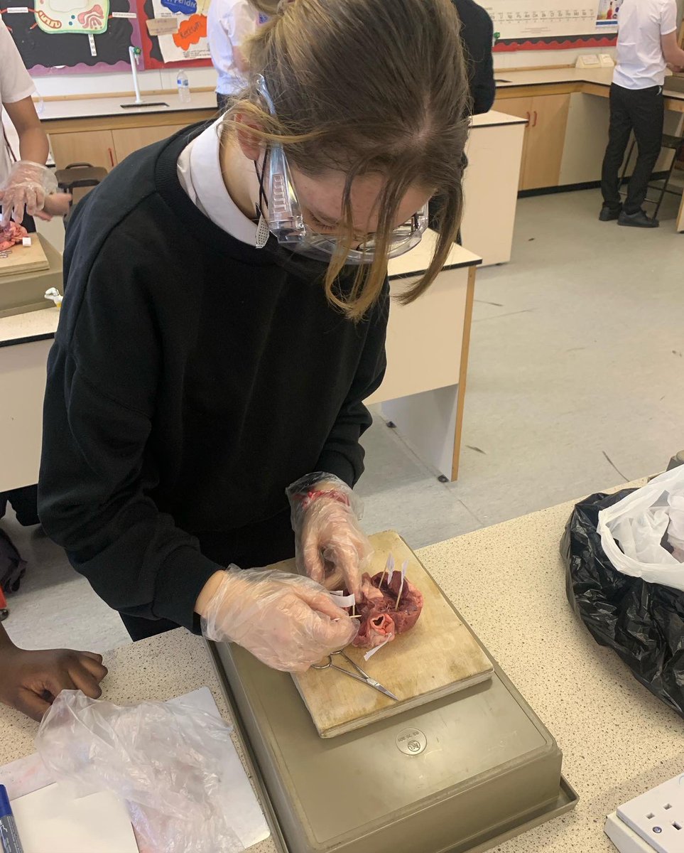 OSA_PE's tweet photo. It was a thoroughly enjoyable session with special thanks going to the science department and more closely Mr McKenna and Miss Toorab for assisting in the delivery of the session with @MrDaveyPE 

@onslowstaudreys 

#TeamOSA #TeamPE #TeamScience #OSAPE #GCSEPE 

(2/2) https://t.co/Iu15dPn7PV