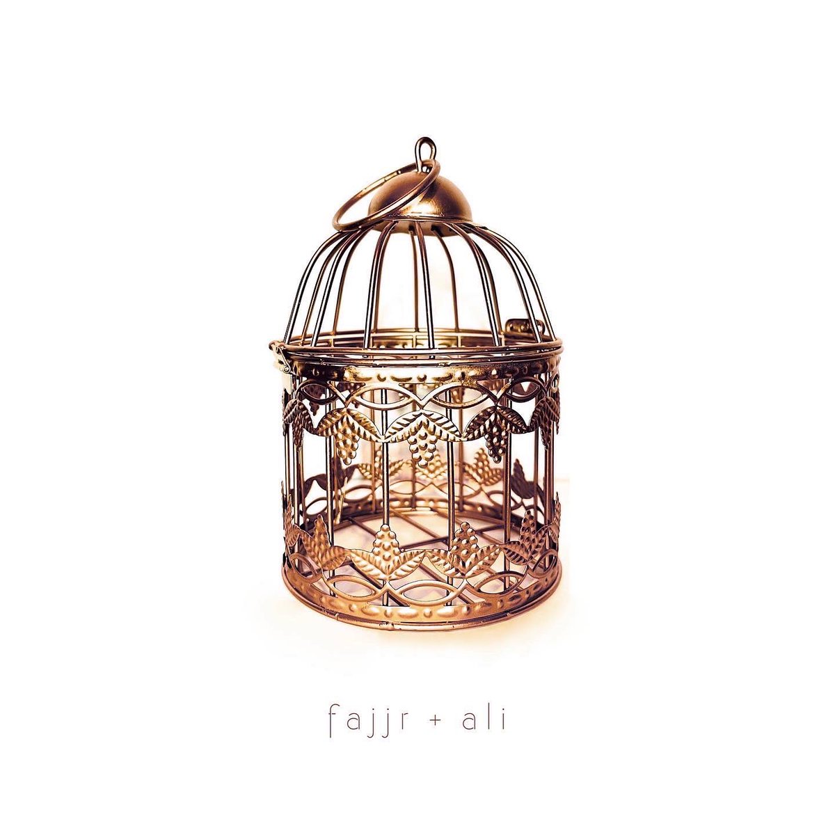 It’s out! Stream Bird Cage now! #newmusic #newmusicfriday 

ffm.to/fajjrplusali-b…