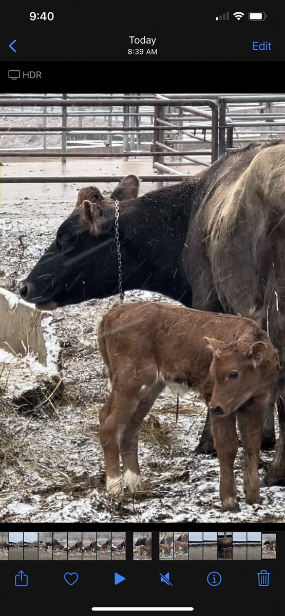 new baby and proud mom <a href="/TPCreamery/">Traders Point Creamery</a>