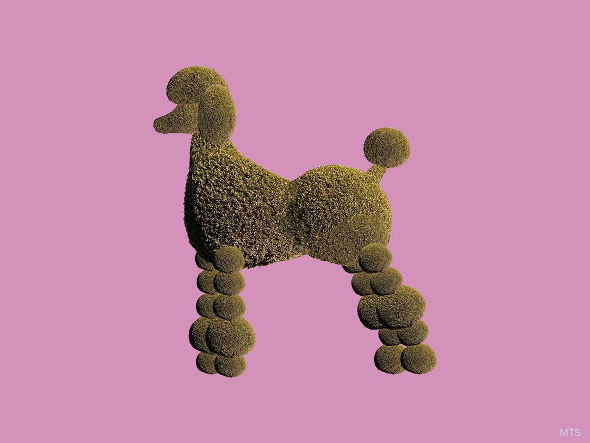 MagneticTopiary's tweet photo. @atimetass Spring has sprung🌷 https://t.co/ZXyabcUbc3 https://t.co/KKsVlDArAg